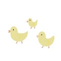 Three duck are walking illustration for animal, pet and farm.