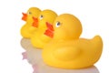 The Three Ducks Royalty Free Stock Photo
