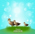 Three ducks easter card