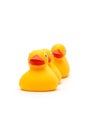 The three ducks isolated Royalty Free Stock Photo