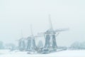 Three Dutch windmills during snowfall Royalty Free Stock Photo