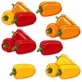 Color mini sweet peppers. Capsicum. Cartoon style. Vector illustration.