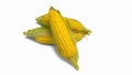 Three ears of corn with green leaves . Fresh corn on cob isolated on white background Royalty Free Stock Photo