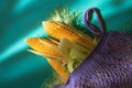 Three ears of fresh ripe corn with green leaves in purple eco-friendly knitted bag on green wooden surface in sunlight