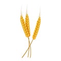 Three ears of wheat icon, cartoon style Royalty Free Stock Photo
