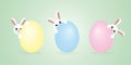 Three easter bunnies hiding behind the eggs Royalty Free Stock Photo