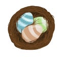 Three easter color eggs in nest Royalty Free Stock Photo