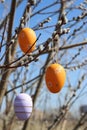 three Easter decorative eggs on willow branches Royalty Free Stock Photo