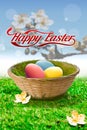 Three Easter eggs in a basket Royalty Free Stock Photo