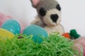 Three Easter eggs and crocheted amigurumi bunny