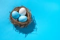 Three Easter eggs in a nest with a hard shadow on a blue background. Royalty Free Stock Photo