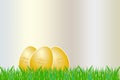 Three Easter golden eggs lying on the grass Royalty Free Stock Photo