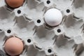 Three egg in carton. Top view Royalty Free Stock Photo
