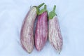 Three eggplants with water drops Royalty Free Stock Photo