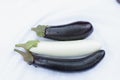 Three eggplants with waterdrops Royalty Free Stock Photo