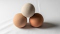 Surface appears smooth and clean and the eggs have a natural matte Royalty Free Stock Photo