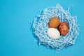 Three eggs in a blue nest on a blue background. Free space for text