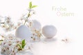 Three eggs and a branch of wild flowers on a white background germen text Frohe Ostern, meaning Happy Easter, holiday greeting