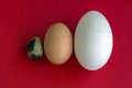 Three eggs of different sizes. Royalty Free Stock Photo