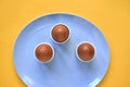 Three Eggs in Egg Cups on Blue Plate Yellow Background Royalty Free Stock Photo