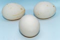 Three eggs isolated over a white background. Royalty Free Stock Photo