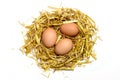 Three eggs in a nest of straw isolated on white background Royalty Free Stock Photo