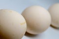 Three eggs over a white background. Royalty Free Stock Photo