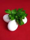 Three eggs and parsley