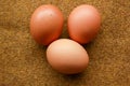 three eggs photographed with a brown background
