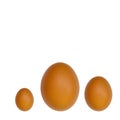 Three eggs of the same color, but of different sizes, large, medium, small. All eggs are dark yellow.copyspace for text. Flatlay Royalty Free Stock Photo