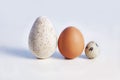 Three eggs: turkey, chicken, quail Royalty Free Stock Photo