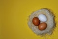 Three eggs, white on a yellow background, lay flat. Space for the text. Nest Royalty Free Stock Photo