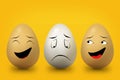 Three eggs yellow and white Royalty Free Stock Photo