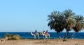 Three Egyptian girls riding camels ride along the coast of the Red Sea