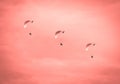 Electric powered parachute in red sky