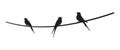 Three Elegant Swallows on a Wire Silhouette Vector Illustration Royalty Free Stock Photo