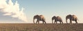 Three elephants in the savannah Royalty Free Stock Photo