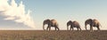 Three elephants in the savannah