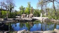 Three elephants were basking on the edge of the water in a cage in a zoo