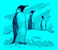Three emperor penguins aptenodytes forsteri standing in a snowy landscape, on a blue background