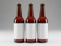 Three empty beer bottles with blank labels Royalty Free Stock Photo