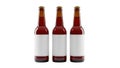 Three empty beer bottles Royalty Free Stock Photo