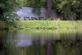 Three empty benches facing a lake in a park Royalty Free Stock Photo