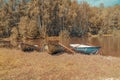 Three empty boats with oars on the shore of a forest lake, a sunny autumn day Royalty Free Stock Photo