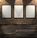 Three empty frames Royalty Free Stock Photo