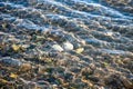 Three empty shells in Pacific ocean bay in sun rays