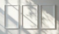 Three empty white frames hang on a wall. Sunlight casts shadows of leaves and branches across the surface. Offers clean space for Royalty Free Stock Photo