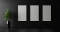 Three Empty White Picture Frames on a Dark Wall with a Potted Plant empty frames white frames Royalty Free Stock Photo