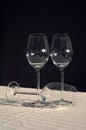 Three Empty Wine Glasses