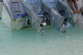 Three engines with propellers of speed boat